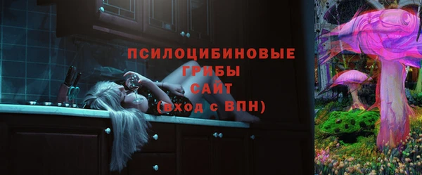шишки Арсеньев