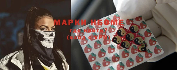 шишки Арсеньев