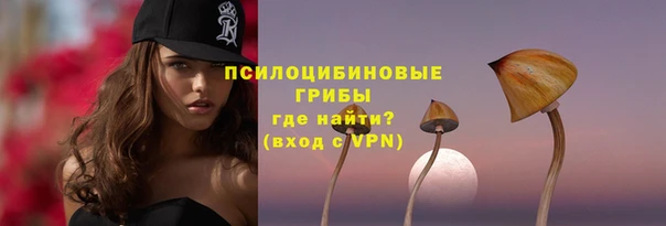 шишки Арсеньев