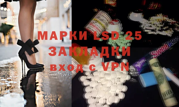 шишки Арсеньев